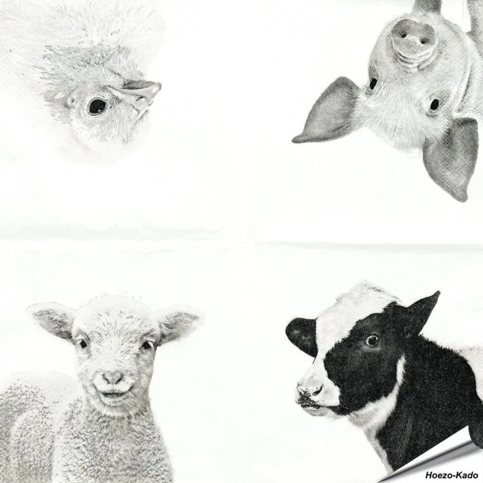 Stijlvolle servetten met koe, varken, schaap en kuiken van Esschert Design ✔️ FSC-papier, 3-laags, biologisch afbreekbaar ✔️ Perfect voor elke tafelsetting ➤ Bestel bij Vogelhuisje.com