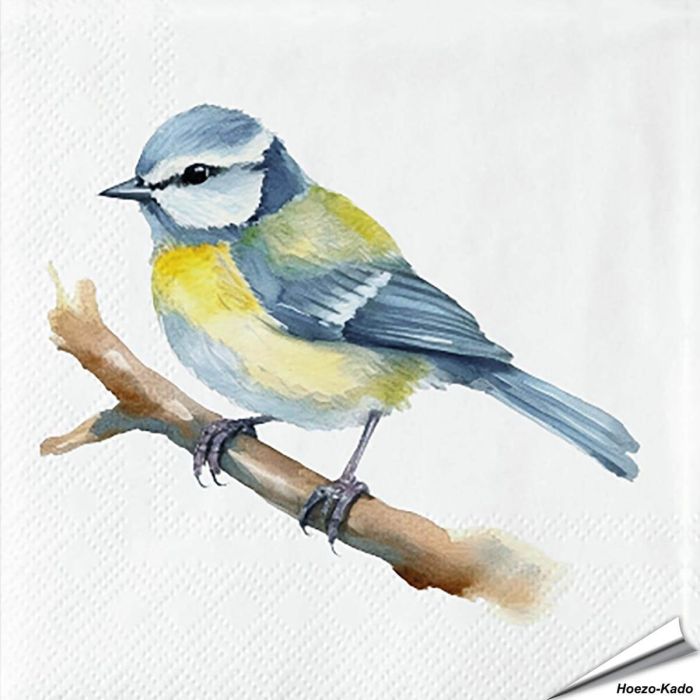 Stijlvolle servetten met een pimpelmees-print van Esschert Design ✔️ FSC-papier, 3-laags, biologisch afbreekbaar ✔️ Perfect voor elke tafelsetting ➤ Bestel nu op Vogelhuisje.com