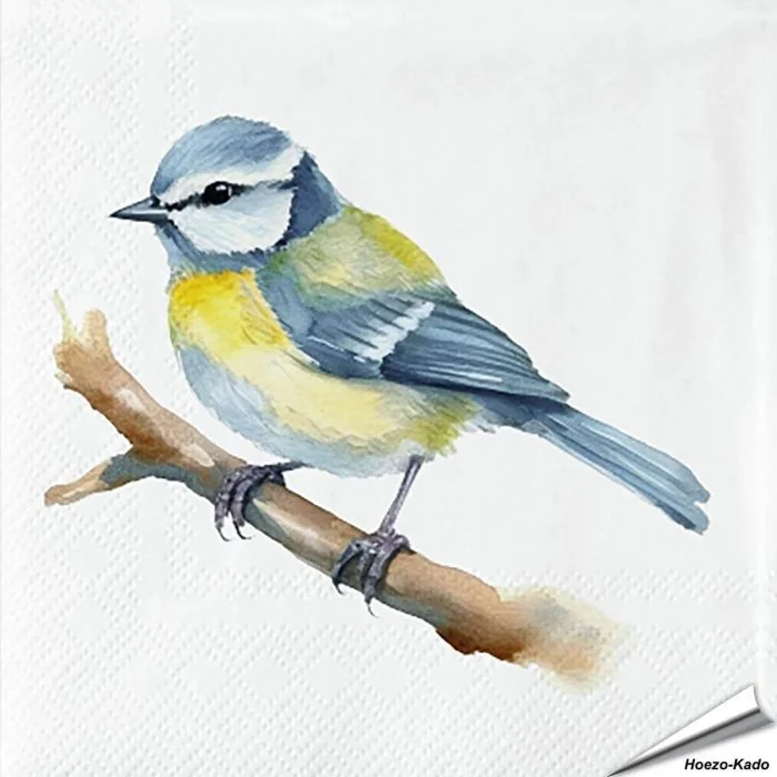 Stijlvolle servetten met een pimpelmees-print van Esschert Design ✔️ FSC-papier, 3-laags, biologisch afbreekbaar ✔️ Perfect voor elke tafelsetting ➤ Bestel nu op Vogelhuisje.com