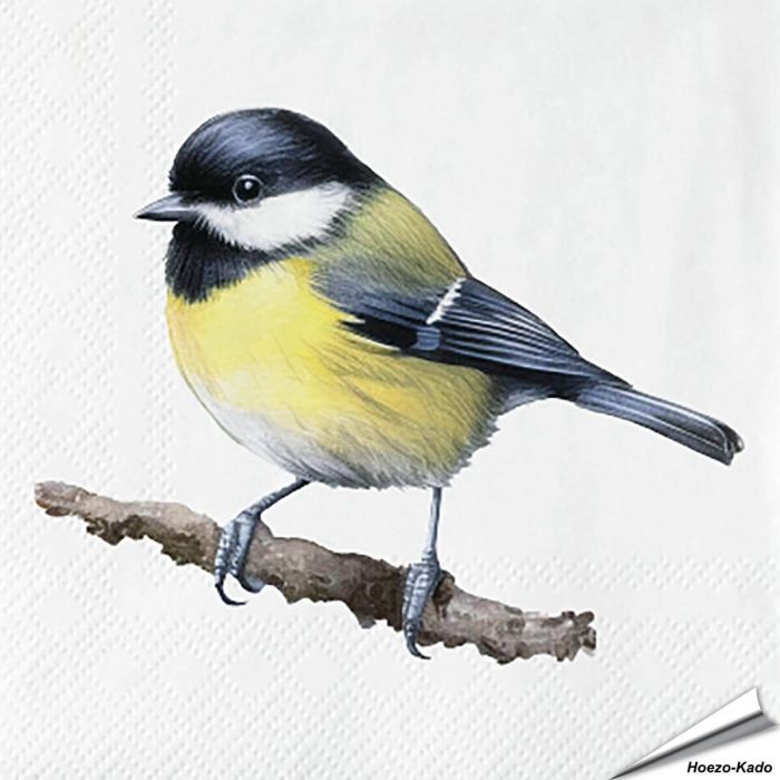 Servetten Koolmees| 20 stuks | FSC & 3-laags | Vogelhuisje.com