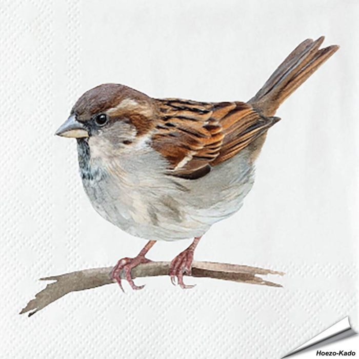 Servetten Huismus | 20 stuks | FSC | Vogelhuisje.com