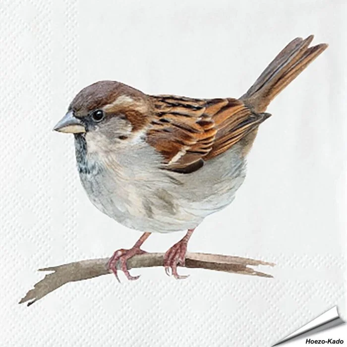 Servetten Huismus | 20 stuks | FSC | Vogelhuisje.com