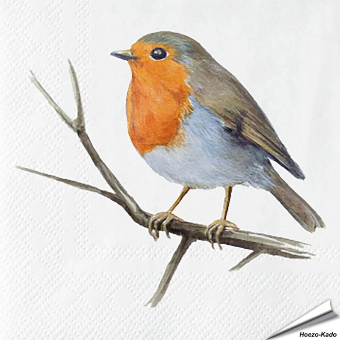 Servetten Roodborst | 20 stuks | FSC | Vogelhuisje.com