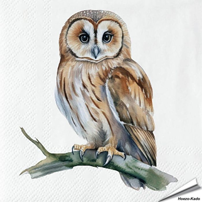 Servetten Uil | 20 stuks | FSC | Vogelhuisje.com