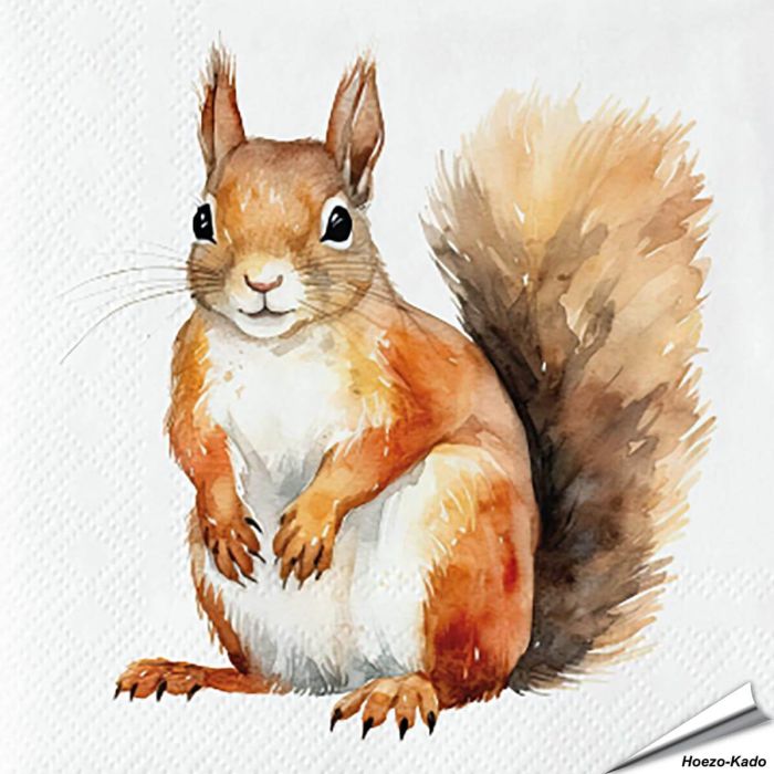 Servetten Eekhoorn | 20 stuks | 3-laags | Vogelhuisje.com