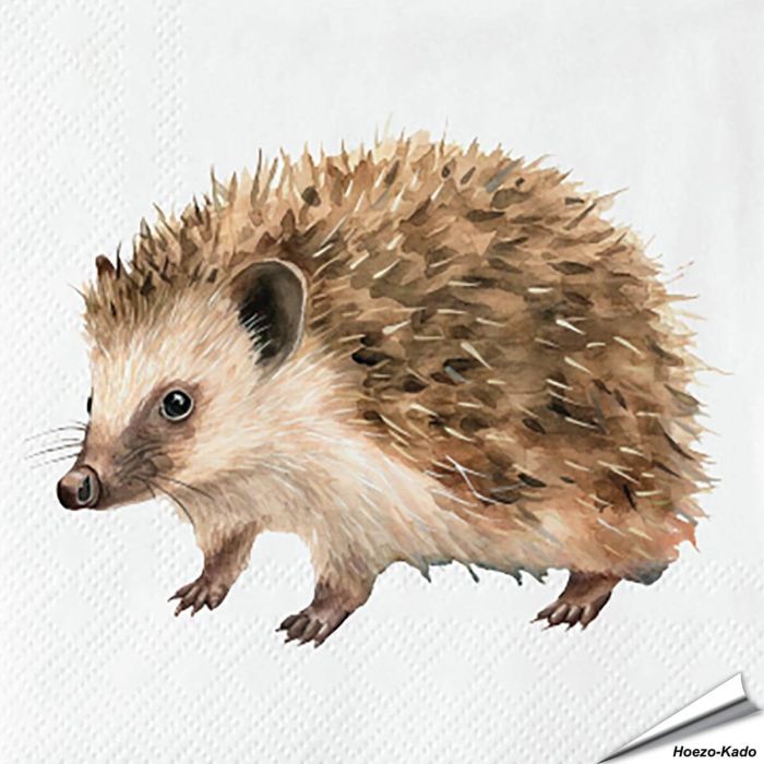 Servetten Egel | 20 stuks | 3-laags | Vogelhuisje.com