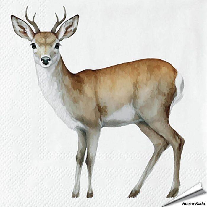 Papieren Servetten Ree | FSC-papier, 3-laags | Vogelhuisje.com