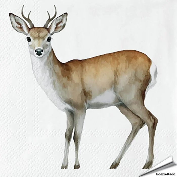 Papieren Servetten Ree | FSC-papier, 3-laags | Vogelhuisje.com