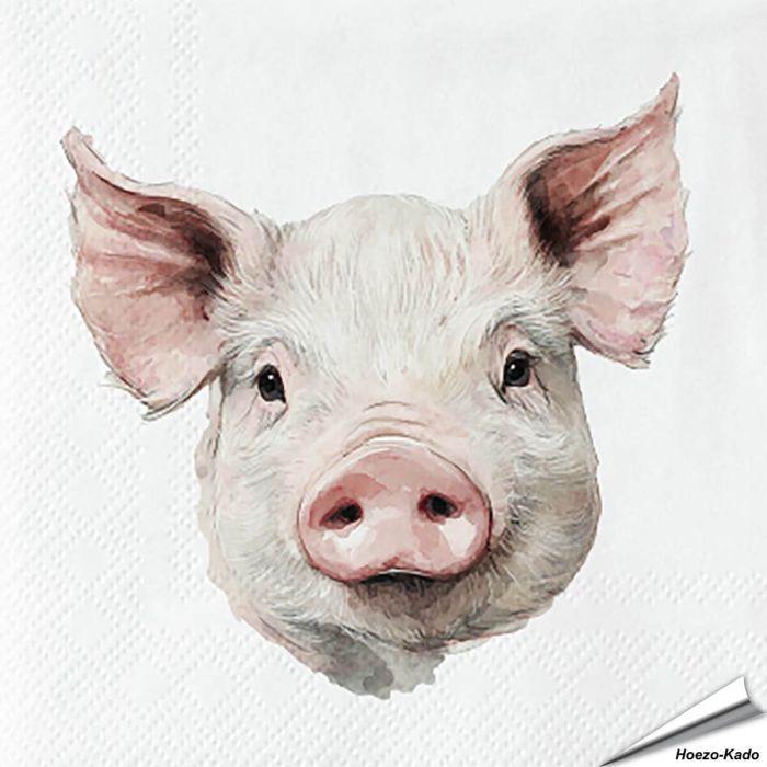 Stijlvolle servetten met een varken (boederijdier) van Esschert Design ✔️ FSC-papier, 3-laags, biologisch afbreekbaar ✔️ Perfect voor elke tafelsetting ➤ Bestel bij Vogelhuisje.com