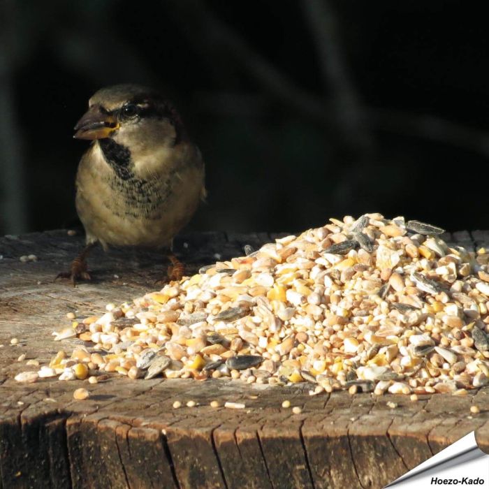 Table Top-Mix met Anijszaad (2.5 kg)