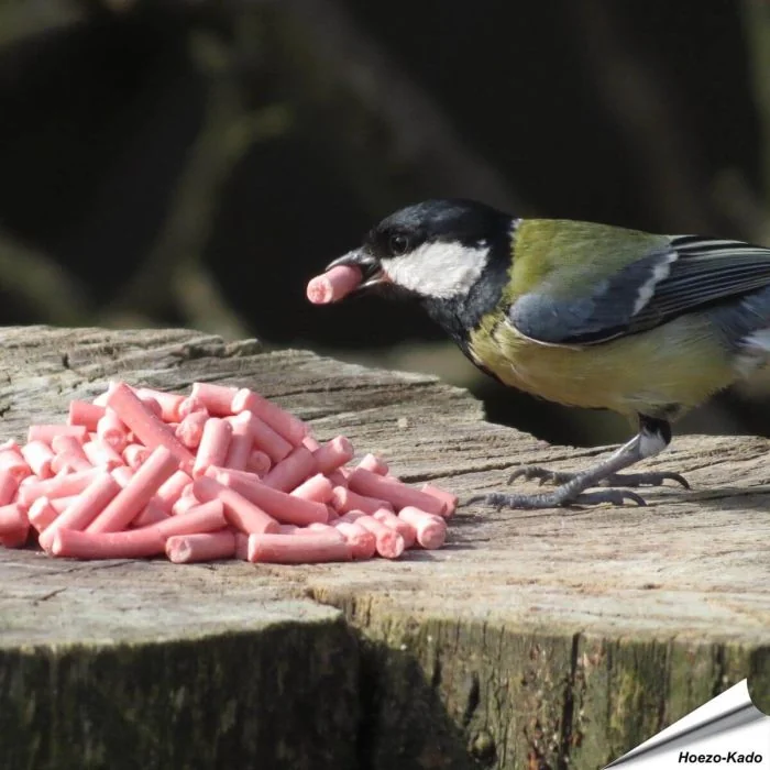 Energierijke vet traktaties met bessen voor tuinvogels ✔️ Ideaal voor het hele jaar door voeren ✔️ Delicatesse voor o.a. merels, roodborstjes... ➤ Online kopen bij Vogelhuisje.com