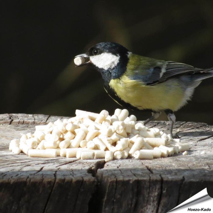 Traktatie met meelwormen voor koolmezen kopen? www.vogelhuisje.com