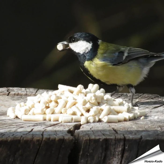 Traktatie met meelwormen voor koolmezen kopen? www.vogelhuisje.com