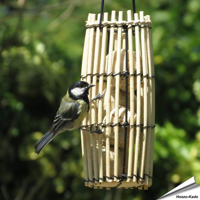 NYAH - Wilgen Voedersilo