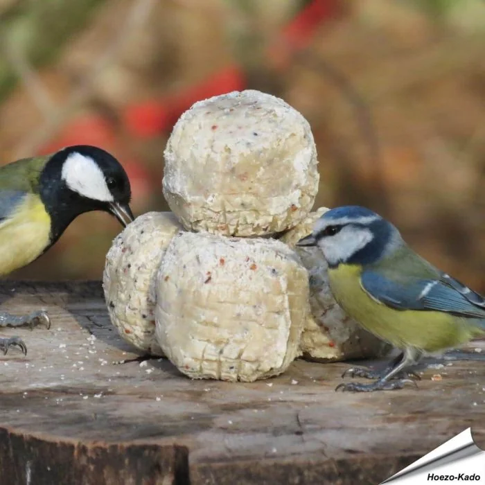 Premium vetbollen van Aniculis met insecten en meelwormen