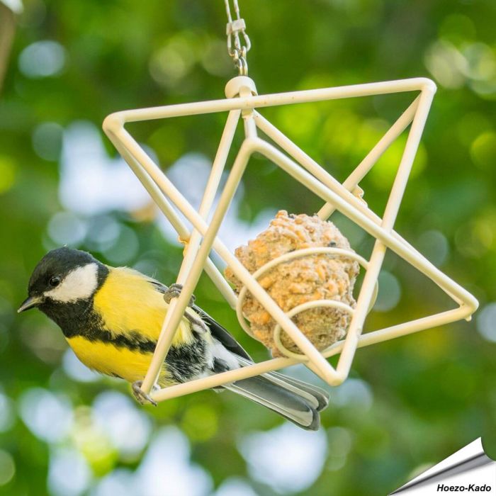 Vetbolhouder - Ster (wit)