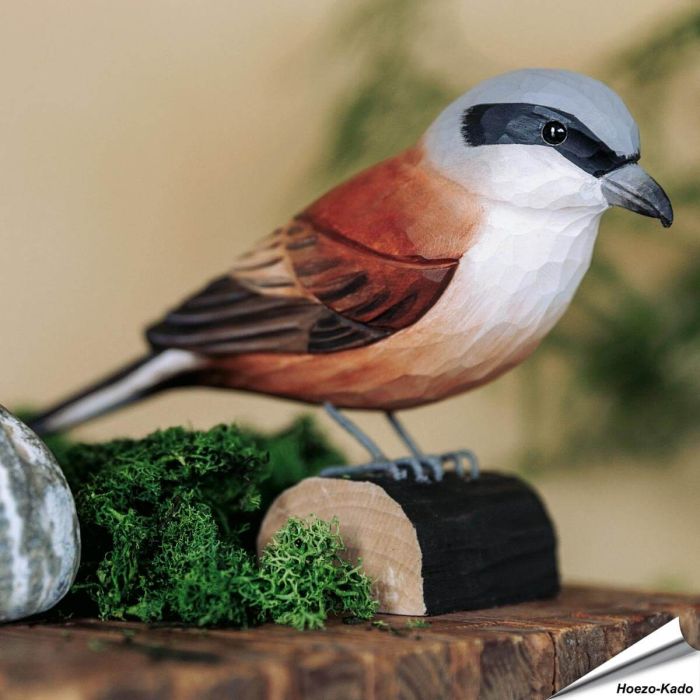 Houtgesneden vogel in de vorm van een Grauwe klauwier is een mooie decoratie waar het hele gezin dol op zal zijn ✔️ Levensecht vorm- en kleur gegeven model ➤ Koop nu online bij Vogelhuisje.com