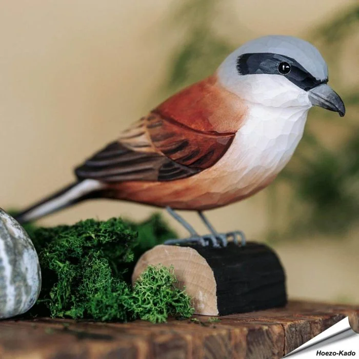 Houtgesneden vogel in de vorm van een Grauwe klauwier is een mooie decoratie waar het hele gezin dol op zal zijn ✔️ Levensecht vorm- en kleur gegeven model ➤ Koop nu online bij Vogelhuisje.com