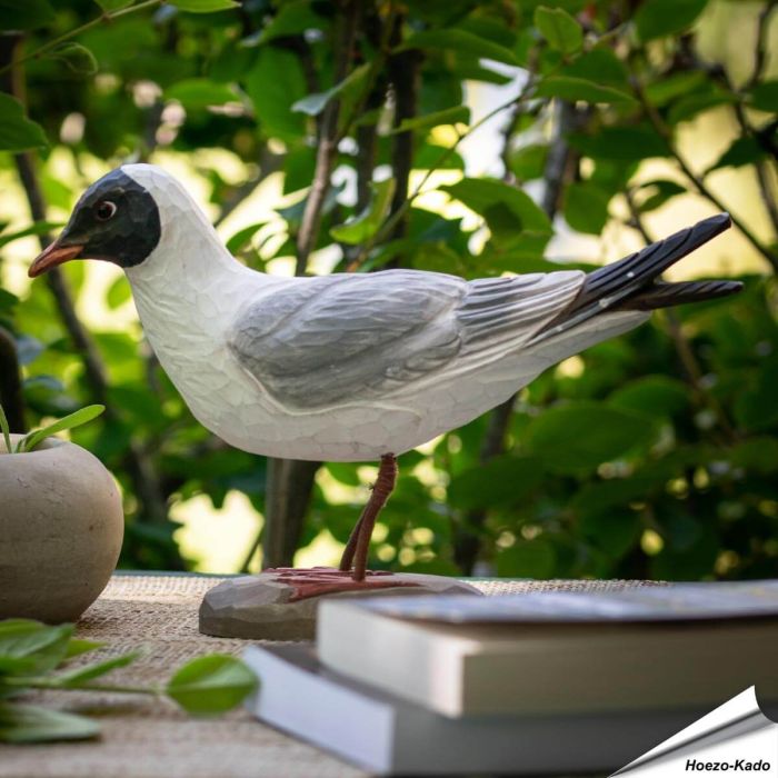 Houtgesneden vogel in de vorm van een Kokmeeuw is een mooie decoratie waar het hele gezin dol op zal zijn ✔️ Levensecht vorm- en kleur gegeven model ➤ Koop nu online bij Vogelhuisje.com