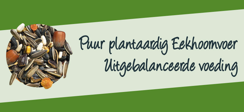 Puur plantaardig Eekhoornvoer- Uitgebalanceerde voeding