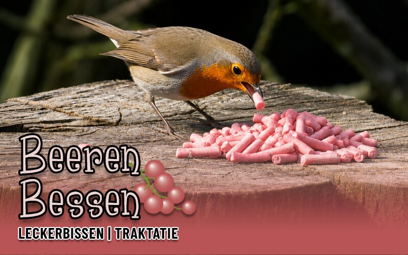 Voedzame vetpellets met bessensmaak - Gemaakt van hoogwaardige ingrediënten, volledig zonder palmolie Voedzame vetpellets met bessensmaak - Gemaakt van hoogwaardige ingrediënten, volledig zonder palmolie