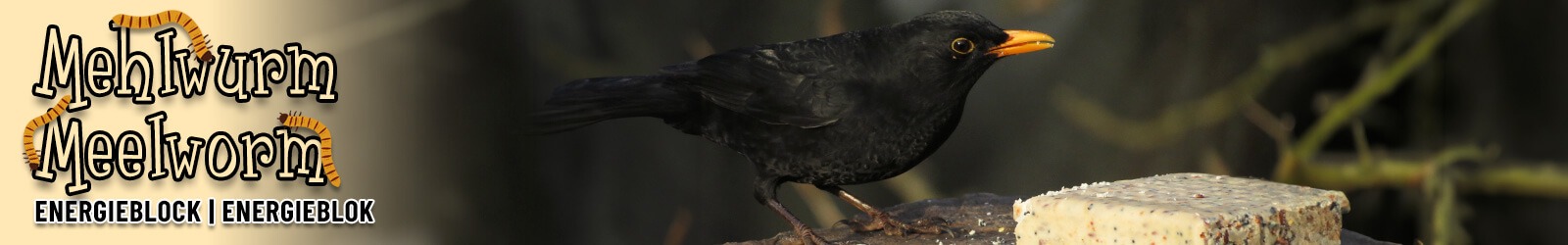 Vetblok met meelwormen van Aniculis - Hoogwaardige ingrediënten - en de vogels zijn er dol op! Vetblok met meelwormen van Aniculis - Hoogwaardige ingrediënten - en de vogels zijn er dol op!
