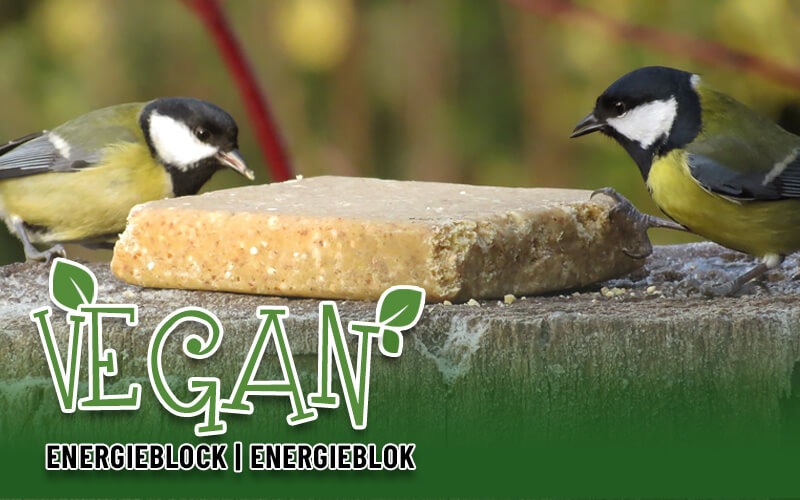 Geef de tuinvogels een duurzame energieboost met dit 100% plantaardige vetblok. Geef de tuinvogels een duurzame energieboost met dit 100% plantaardige vetblok.