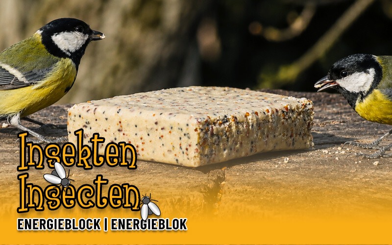 Heerlijke vetblok met insecten geschikt voor vele soorten vogels Heerlijke vetblok met insecten geschikt voor vele soorten vogels