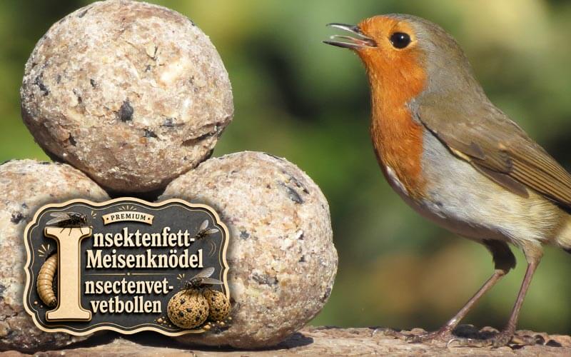 Premium vetbollen met insectenvet - Natuurlijk zonder net - Aniculis