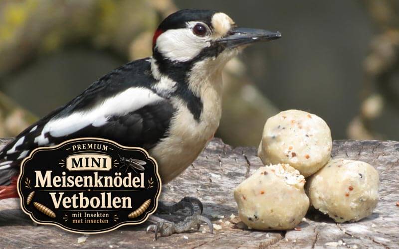 Mezenbolletjes in miniformaat met insecten - Aniculis Mezenbolletjes in miniformaat met insecten - Aniculis
