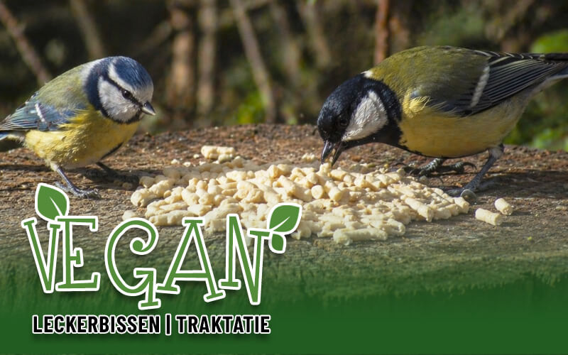Plantaardige vet traktatie voor wilde vogels met eiwitrijke pinda's - Bestel nu Plantaardige vet traktatie voor wilde vogels met eiwitrijke pinda's - Bestel nu