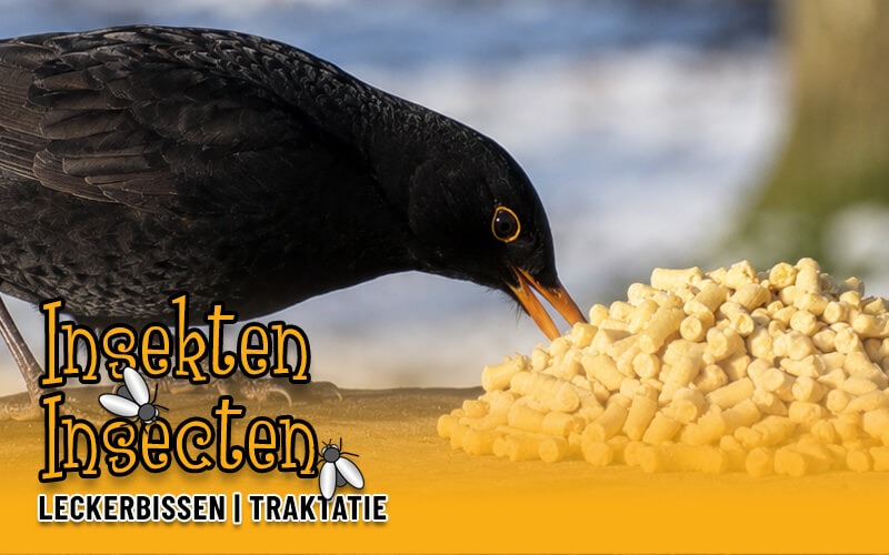 Aniculis Vet-traktatie met insecten - Bestel nu Aniculis Vet-traktatie met insecten - Bestel nu