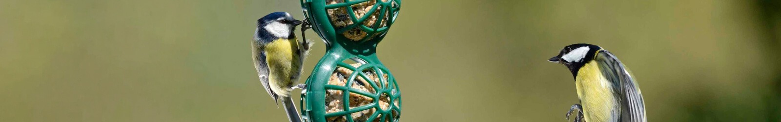 BasketBall mezenbollenhouders - Met deze aantrekkelijke prijs, waarom niet op een aantal ramen?