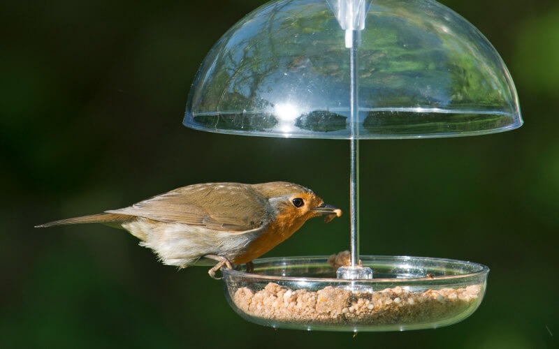I Love Robins voersystemen voor roodborstjes en tuinvogels