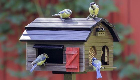 Voedersystemen en voedersilo's voor vogels